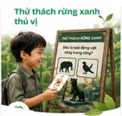 Thử thách rừng xanh thú vị